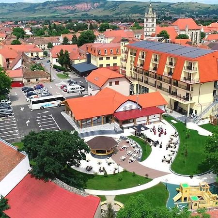 Hotel Leul De Aur Sebes  Bagian luar foto