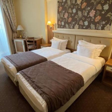 Hotel Leul De Aur Sebes  Bagian luar foto