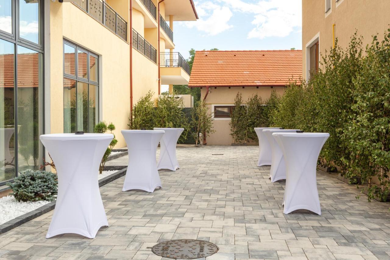 Hotel Leul De Aur Sebes  Bagian luar foto