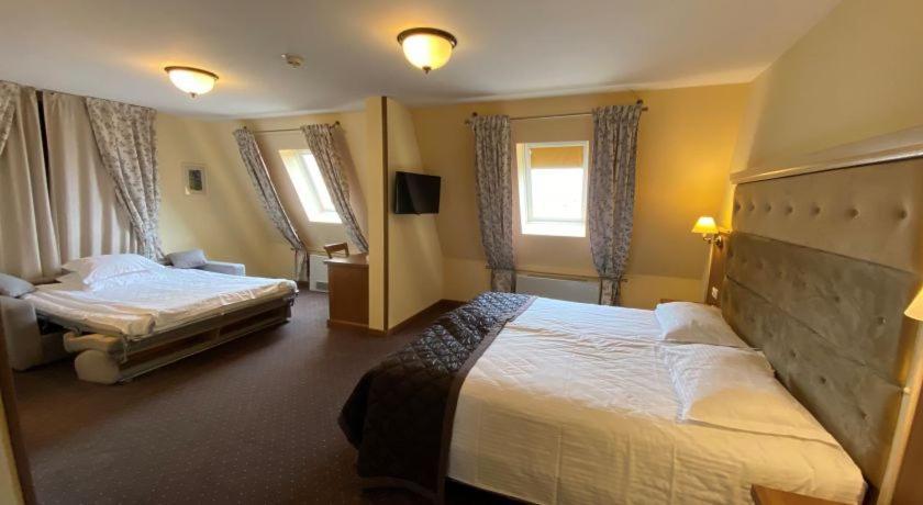 Hotel Leul De Aur Sebes  Bagian luar foto