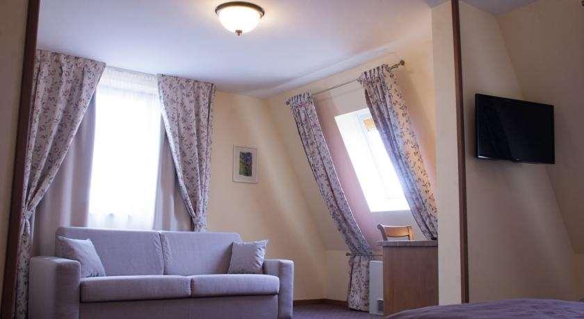 Hotel Leul De Aur Sebes  Ruang foto